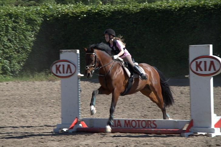 DSP Nørlunds kentucky - kentucky & mig hos Tina Lund :) billede 2