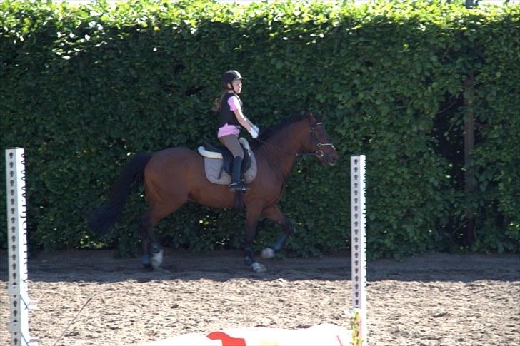 DSP Nørlunds kentucky - kentucky & mig hos Tina Lund  :) billede 4