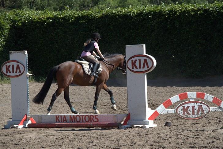 DSP Nørlunds kentucky - kentucky & mig hos Tina Lund  :) billede 5