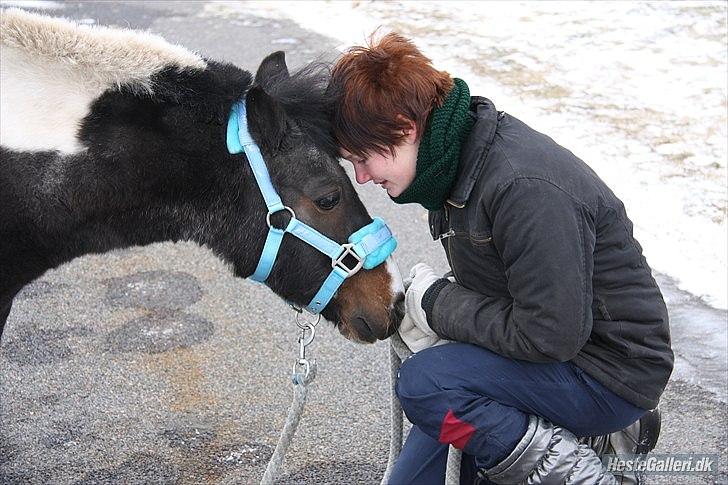 Shetlænder Karoline (Pony) - Min allerbedste ven gennem godt og ondt i 14 år <3 2010 billede 1