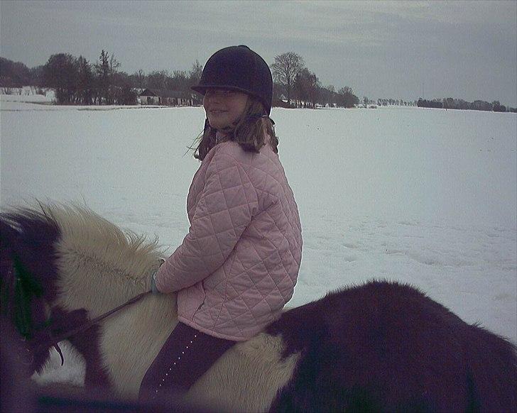 Shetlænder Karoline (Pony) - Hygge vintertur i 2006 billede 8