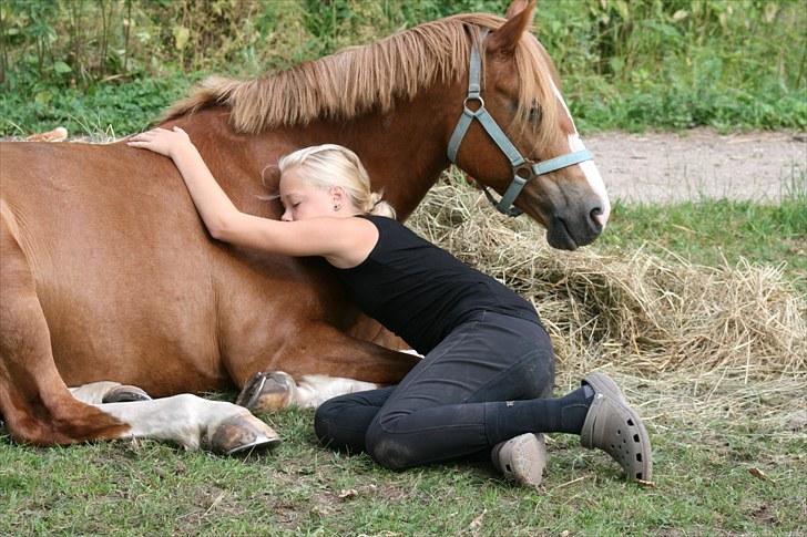 DSP Enekærs Agitato - hygge med min dejlige pony billede 10