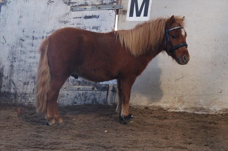 Miniature BRØGGERGÅRDENS SOFUS DEE billede 12