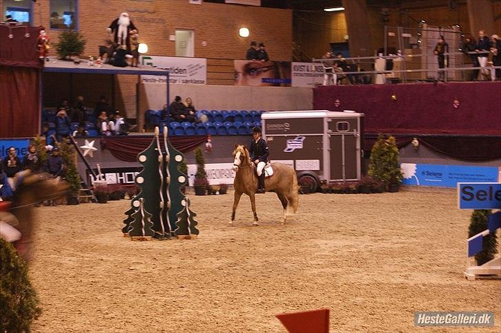 Hollandsk Sportspony Jan <3 SOLGT - Warm Up 2010 :D  billede 7