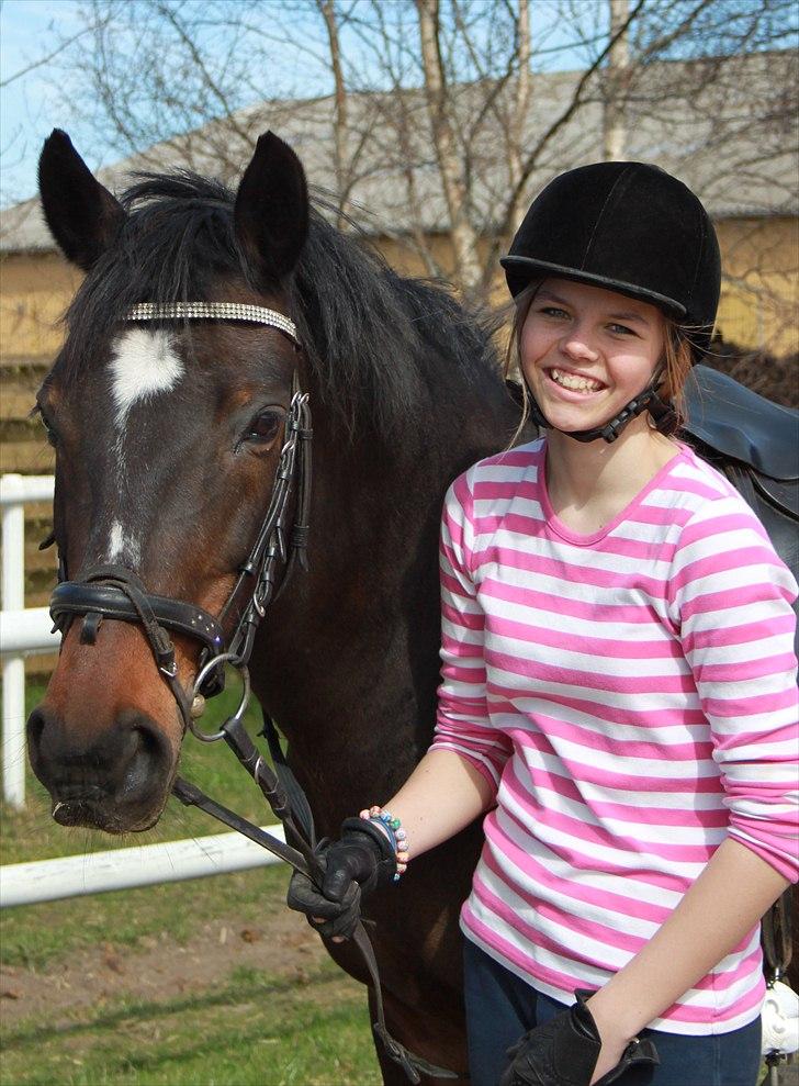DSP Midnight Diamond - Efter dressurundervisning ved Charlotte Friberg. Foto: mutti med mit kamera. billede 11