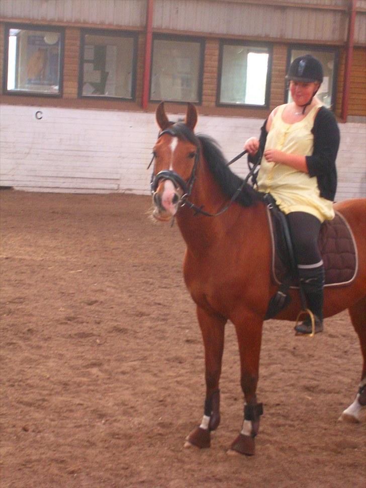 Anden særlig race FREEMAN <3  - ejjj ANN hvorfor tar du billeder { fotograf : Ann } billede 2