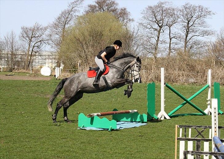 Holstener Castinè - 10-04-11 billede 1