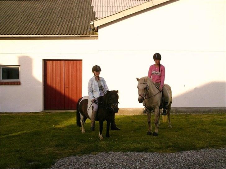 Anden særlig race Shulaima - Shulaima og moonlight på tur! billede 19