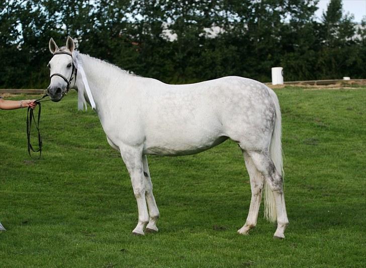 DSP Dorreen -  28.08.10: Dorreen til Eliteskue billede 19