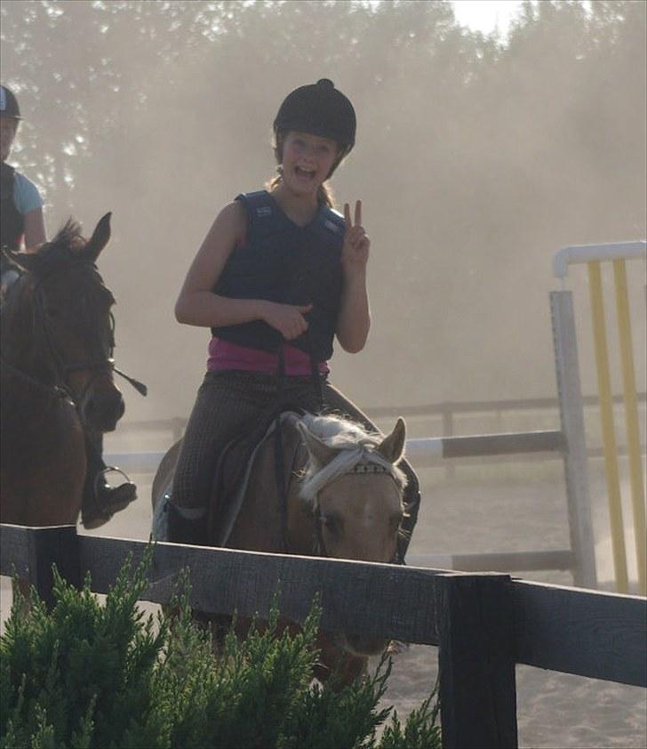 Tysk Sportspony Paloma 256 - Mig og Paloma til træning billede 17