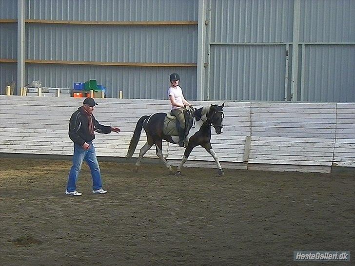 Anden særlig race Mr. Jones <3 - Kursus ved berider, Helge brosbøl. Jones du er en engel <3 Foto: Julie billede 5