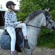 Anden særlig race Simba My Soulmate