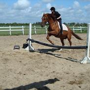 Frederiksborg Galanti