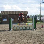 Holstener Valløs Lucky Mary