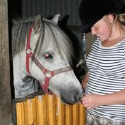 Anden særlig race Freja (død) R.I.P 