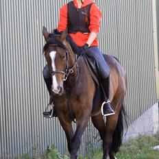 Anden særlig race Vennard