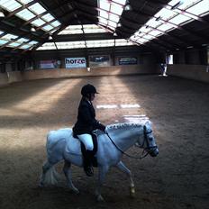 Anden særlig race Gimli