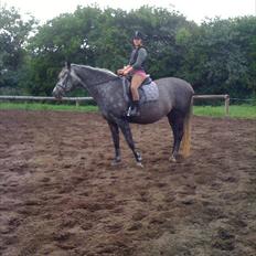 Holstener Spydholms Contreau