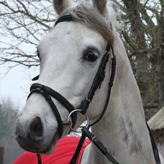 Anden særlig race Batman