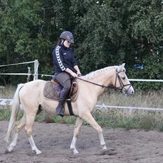 DSP Solvanggårds Athera