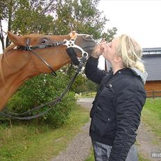 Anden særlig race Flower Power