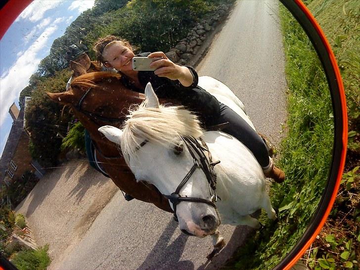 Anden særlig race Silke billede 2