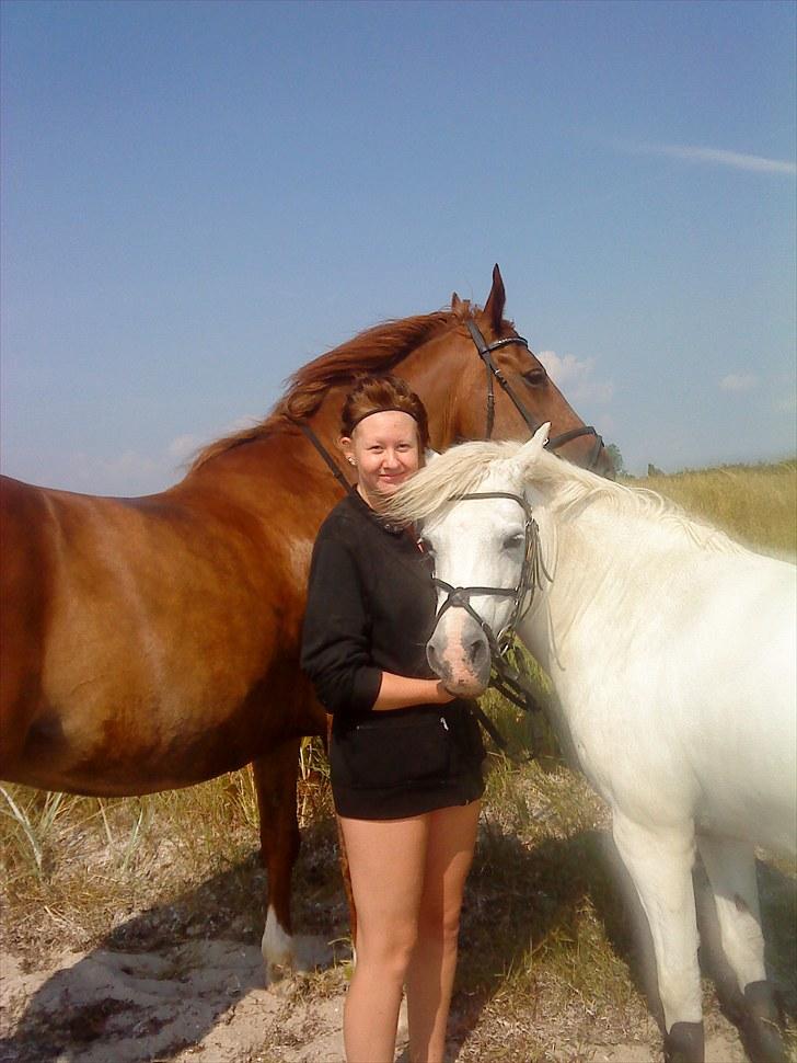 Anden særlig race Silke billede 3