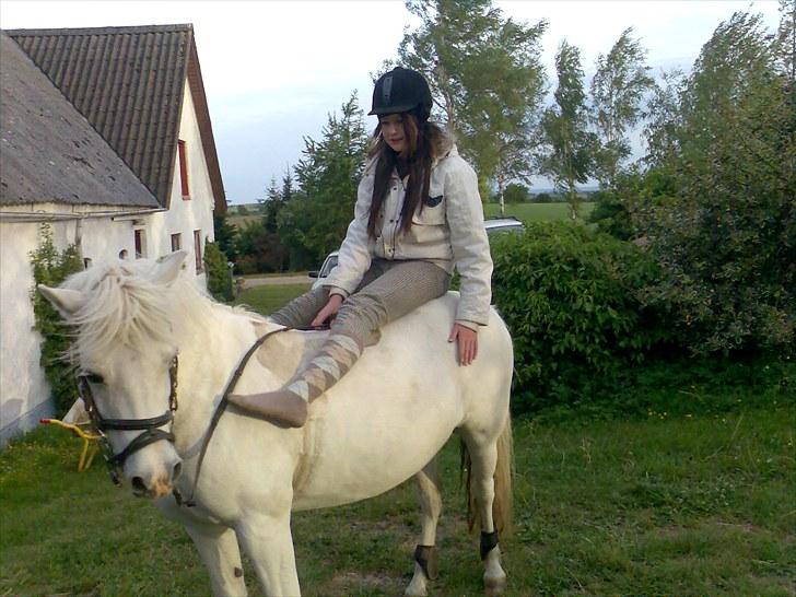 Anden særlig race Silke billede 19