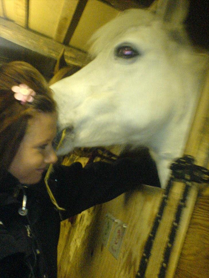 Anden særlig race Silke billede 20