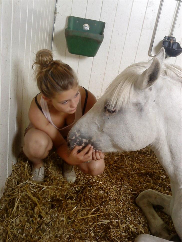 Anden særlig race Fantazy billede 3