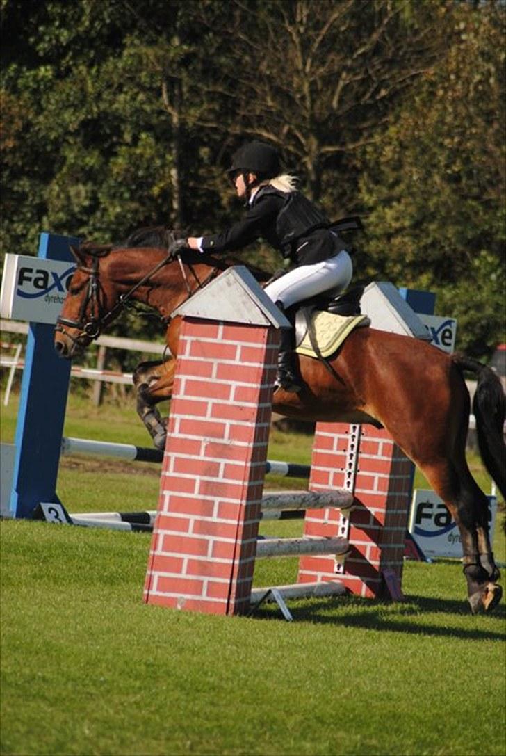 Anden særlig race  | Cantos Caballero - Til vores første stævne i en LD som vi vandt :D KaJa Foto billede 18