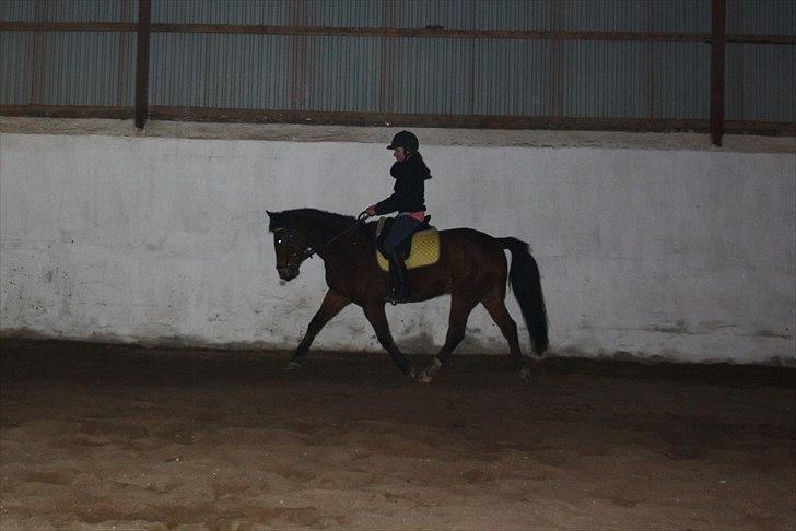 Traver Gismo Silk - Love is just as complicated as simplicity billede 7