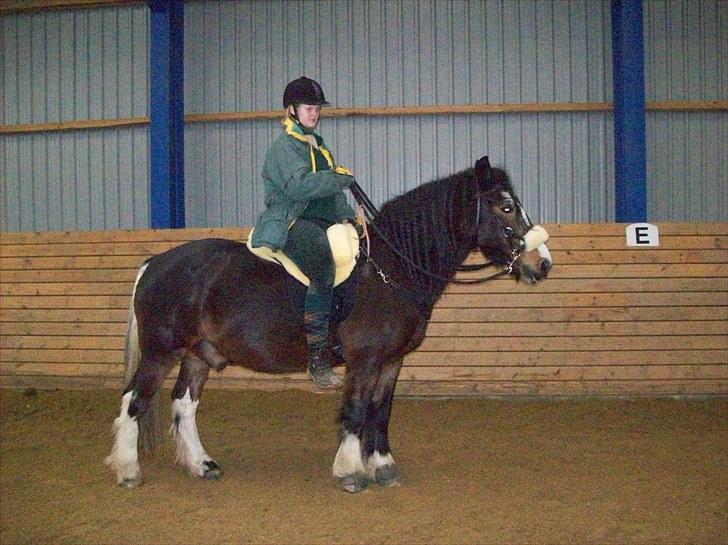 Irish Cob Scater - R.I.P. billede 2