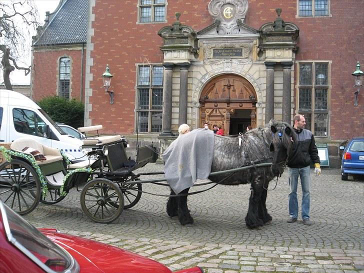 Jyde Walodias GUNILLA - Holmens kirke billede 7