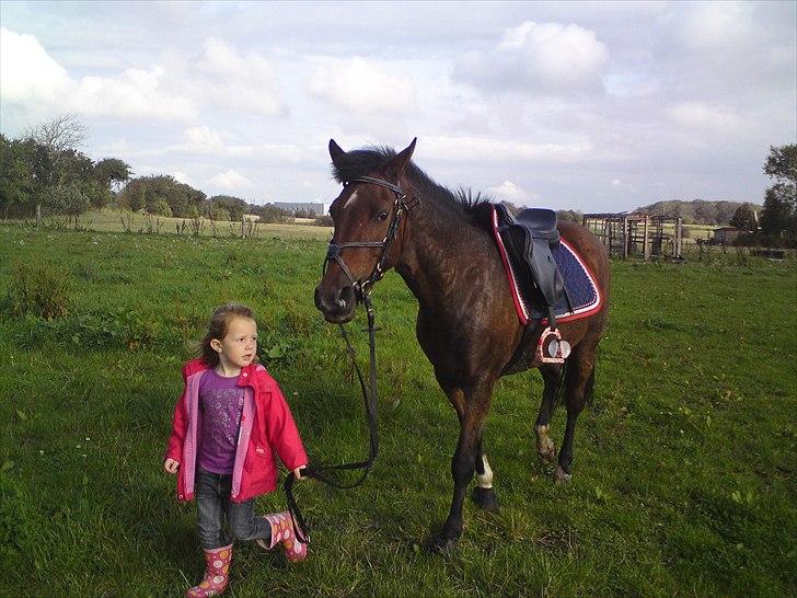 Anden særlig race Caballos Cucos Chica billede 8