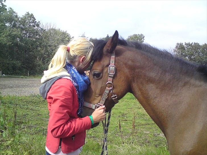 Anden særlig race Caballos Cucos Chica billede 12