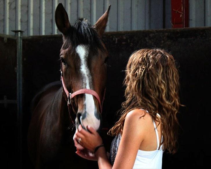 Anden særlig race Vennard - Velkommen til dejlige Vennards profil!:D [Fotograf: Christine Wagner] billede 1