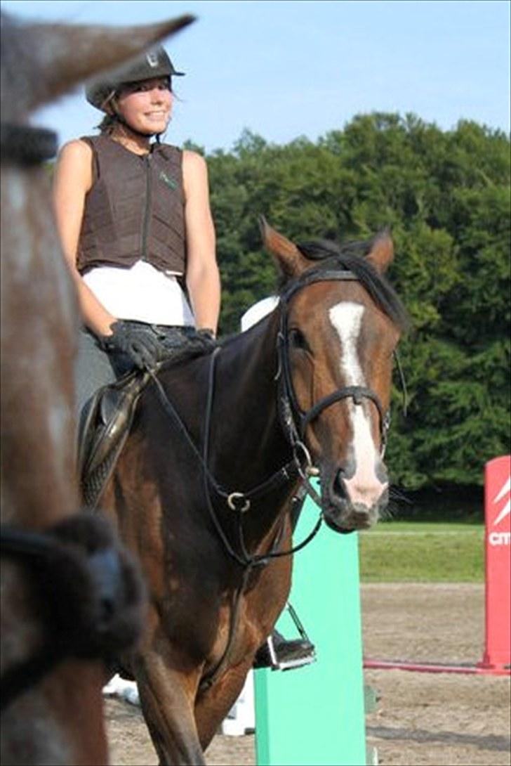 Anden særlig race Vennard -  [Fotograf: Christine Wagner] billede 5