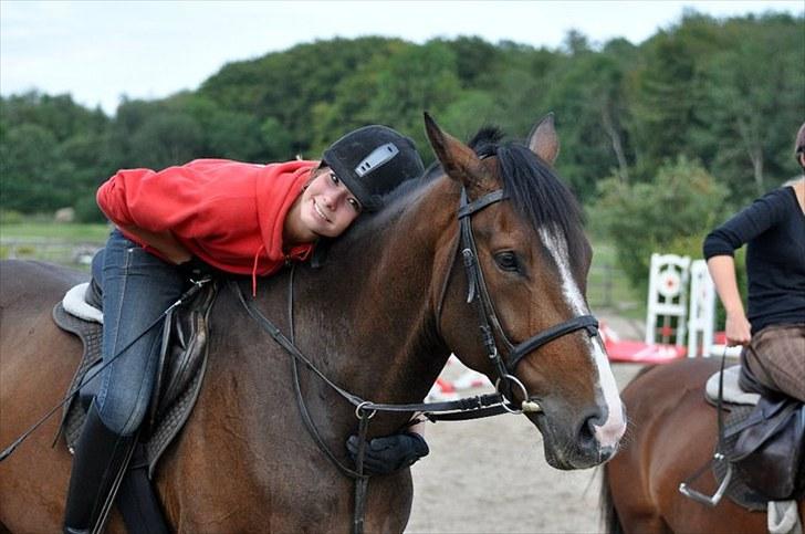 Anden særlig race Vennard - [Fotograf: Mathilde Mijakowski med Emma Culmsees kamera:D] billede 15