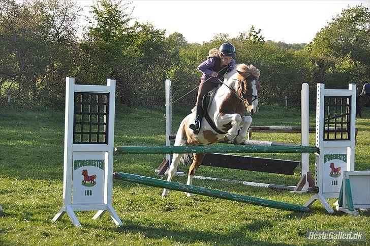 Anden særlig race Grøn Tuborg<3 - 100 billede 15