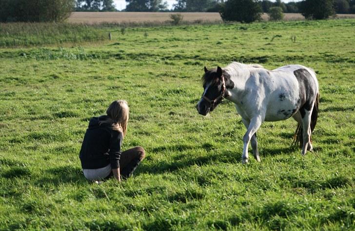 Anden særlig race Tia ~Sendt hjem~<3 - Hun kommer til mig på folden :´D<3 [Foto: Julie Sundberg] billede 16