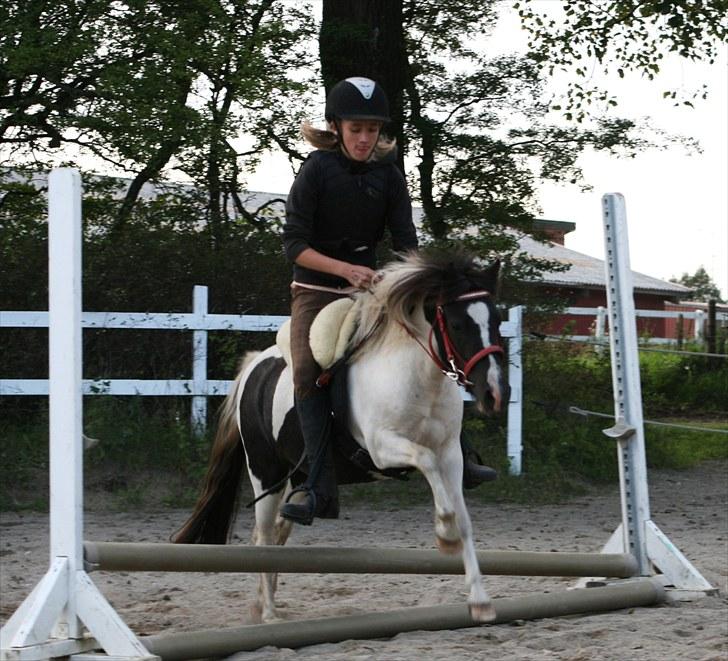 Anden særlig race Tia ~Sendt hjem~<3 - Første spring! :D [Foto: Julie Sundberg] billede 17