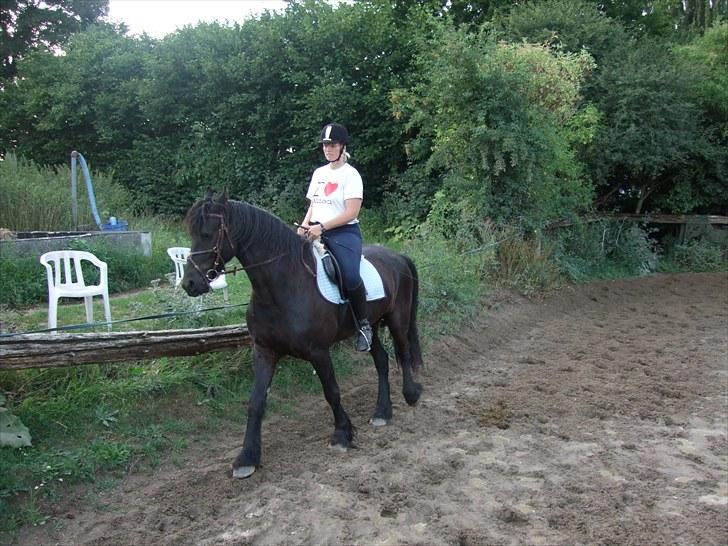 Frieser Temptation billede 10