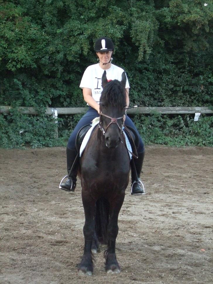 Frieser Temptation billede 11