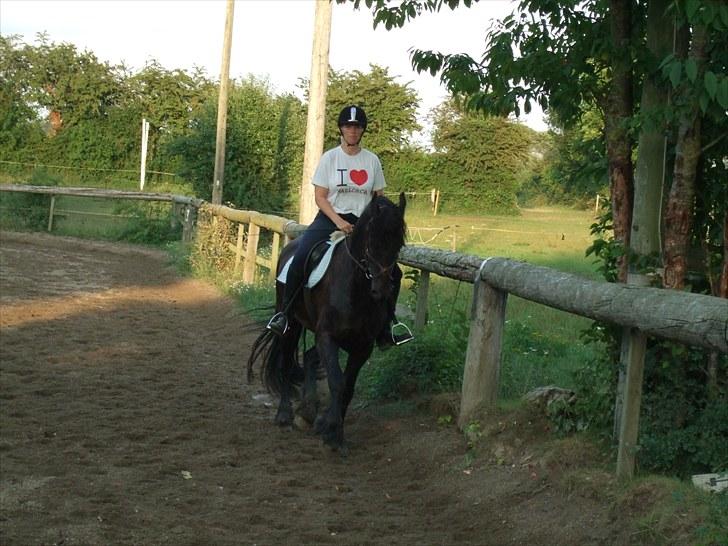 Frieser Temptation billede 12