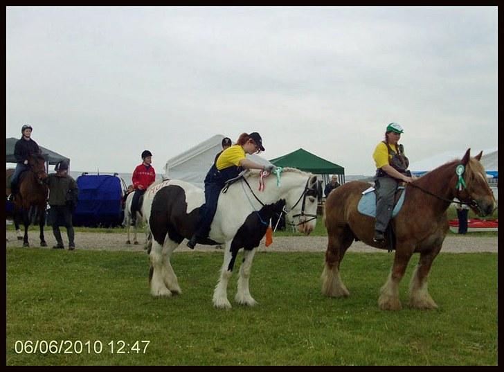 Irish Cob Willie McLeod Skovbo (Bas) - Fra ringridning 2010 :D billede 11