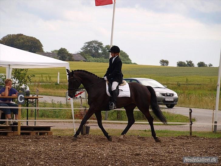 Dansk Varmblod Monique af Ommestrup - Stævne i Tødsø :) billede 10
