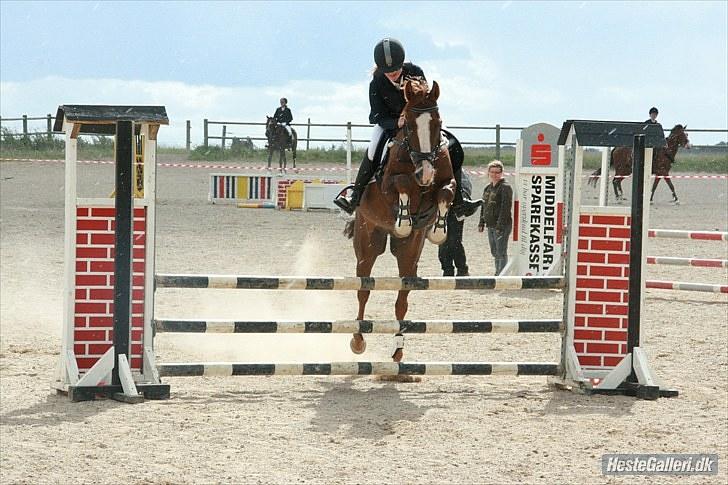 DSP Kløverlunds C.C - Min dejlige stjerne pony. (Fotograf: Helle Neilsen) billede 10