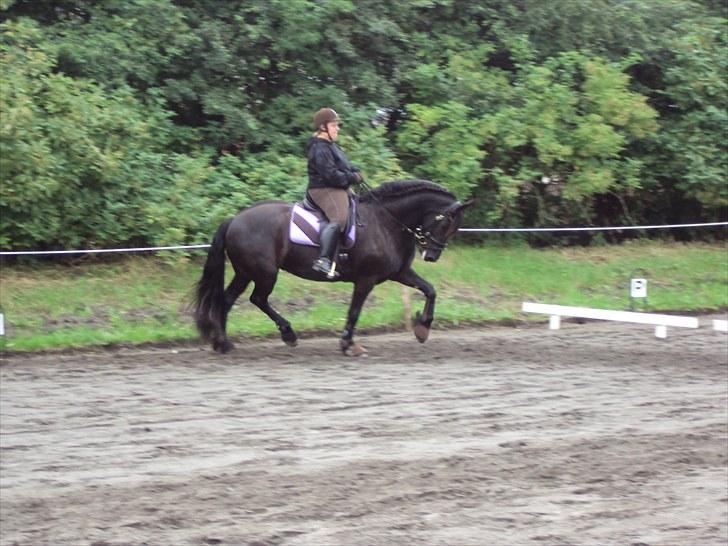 Frieser Nieske G billede 13