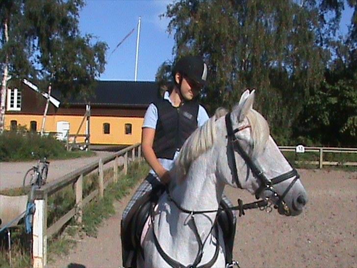 Welsh Pony (sec B) Lyngvejens Eliza (SOLGT) Savnet ? - Jeg kunne bruge flere timer på at kigge på dig. <3 Du hjalp mig når jeg ikke kunne ride ordenligt. <3 billede 5